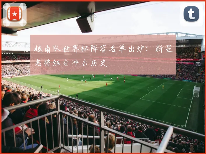 越南队世界杯阵容名单出炉：新星老将组合冲击历史